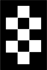 One white object with two black
holes