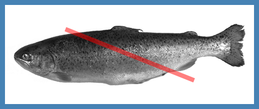 A widget_line_segment on top of an
image.
