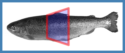 A widget_quadrilateral on top of an
image.